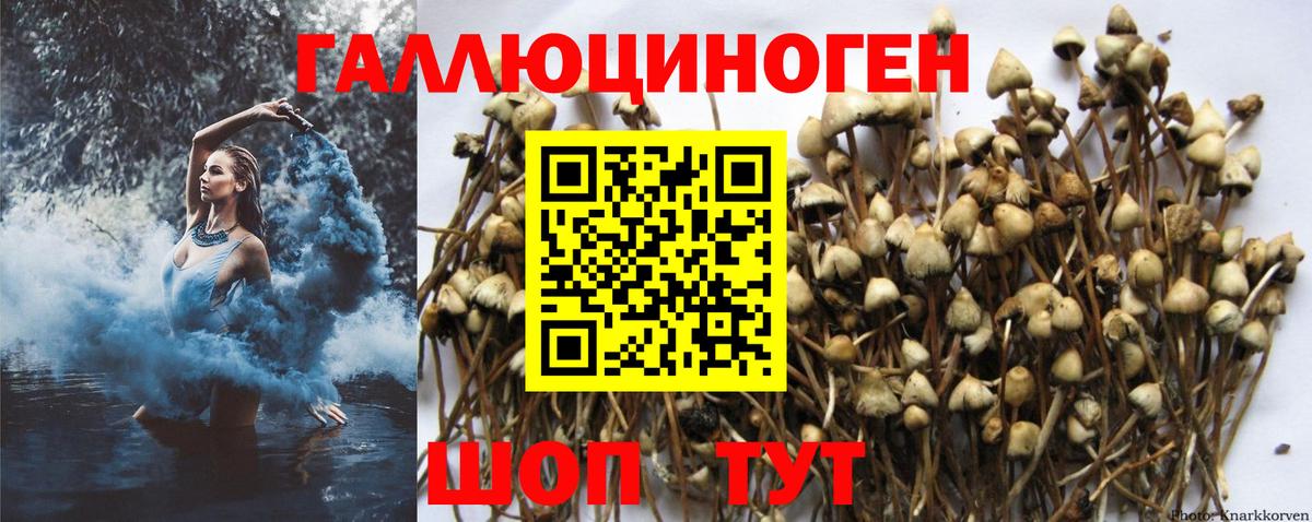 Псилоцибиновые грибы MAGIC MUSHROOMS Миллерово